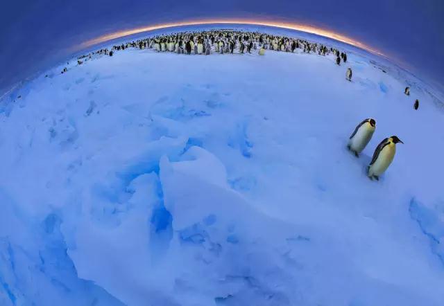 金螳螂：羅紅攝影藝術館室內裝飾工程