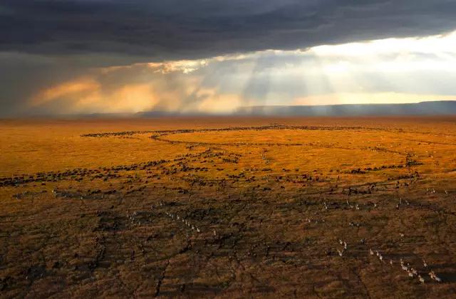 金螳螂：羅紅攝影藝術館室內裝飾工程