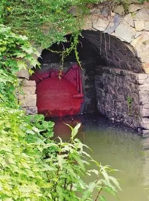 5分鐘讀懂生態(tài)智慧