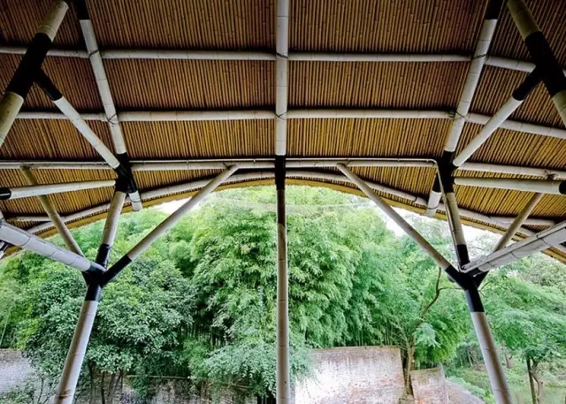 何陋之有?何陋軒與馮紀忠