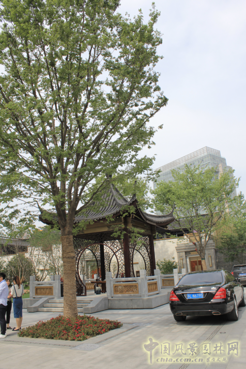 2016園冶杯專業(yè)獎參賽項目：泰禾南京院子項目示范區(qū)