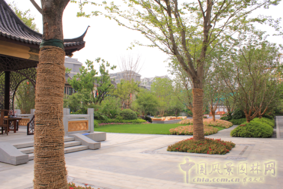 2016園冶杯專業(yè)獎參賽項目：泰禾南京院子項目示范區(qū)