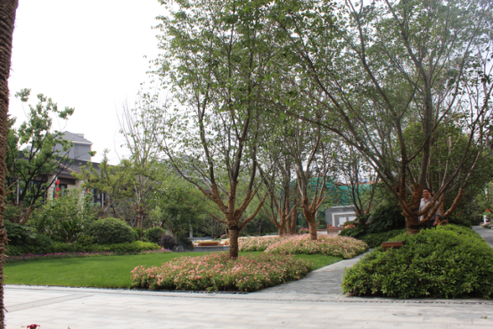 2016園冶杯專業獎參賽項目:泰禾南京院子項目示范區