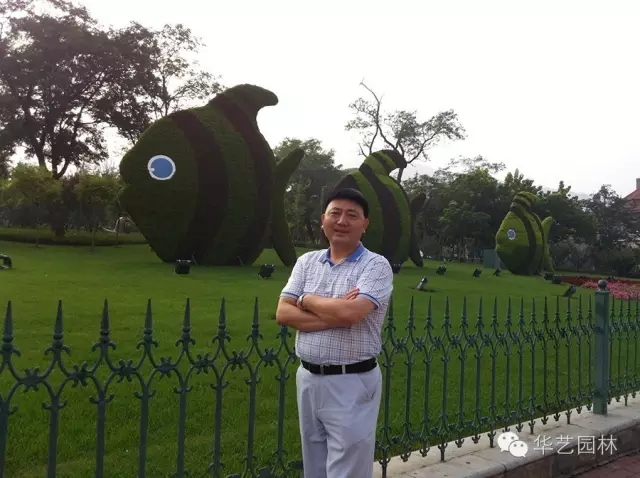 “追夢者”胡優華：在傳承創新徽派園林中從容生長