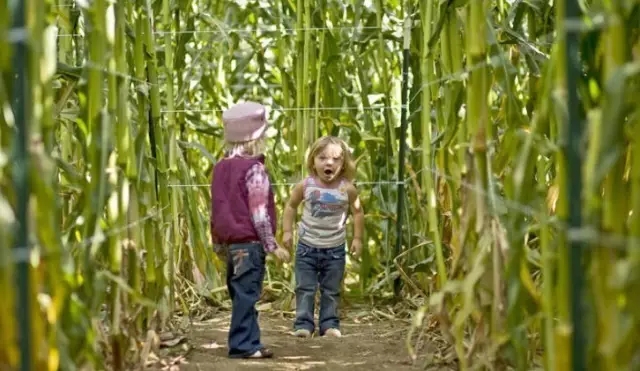 如何讓植物成為兒童活動場地的主角?