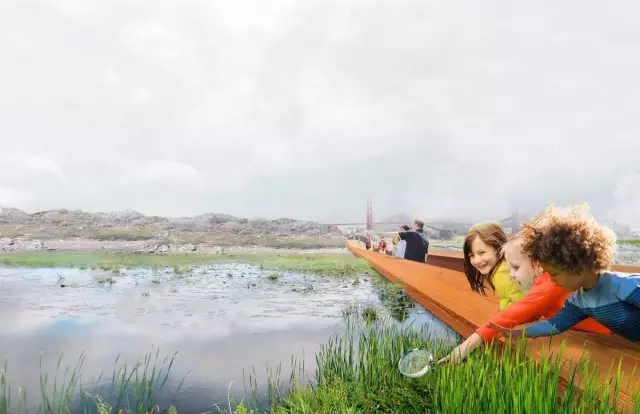 如何讓植物成為兒童活動場地的主角?