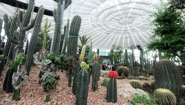 如何讓植物成為兒童活動場地的主角?