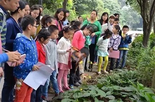 如何讓植物成為兒童活動場地的主角？