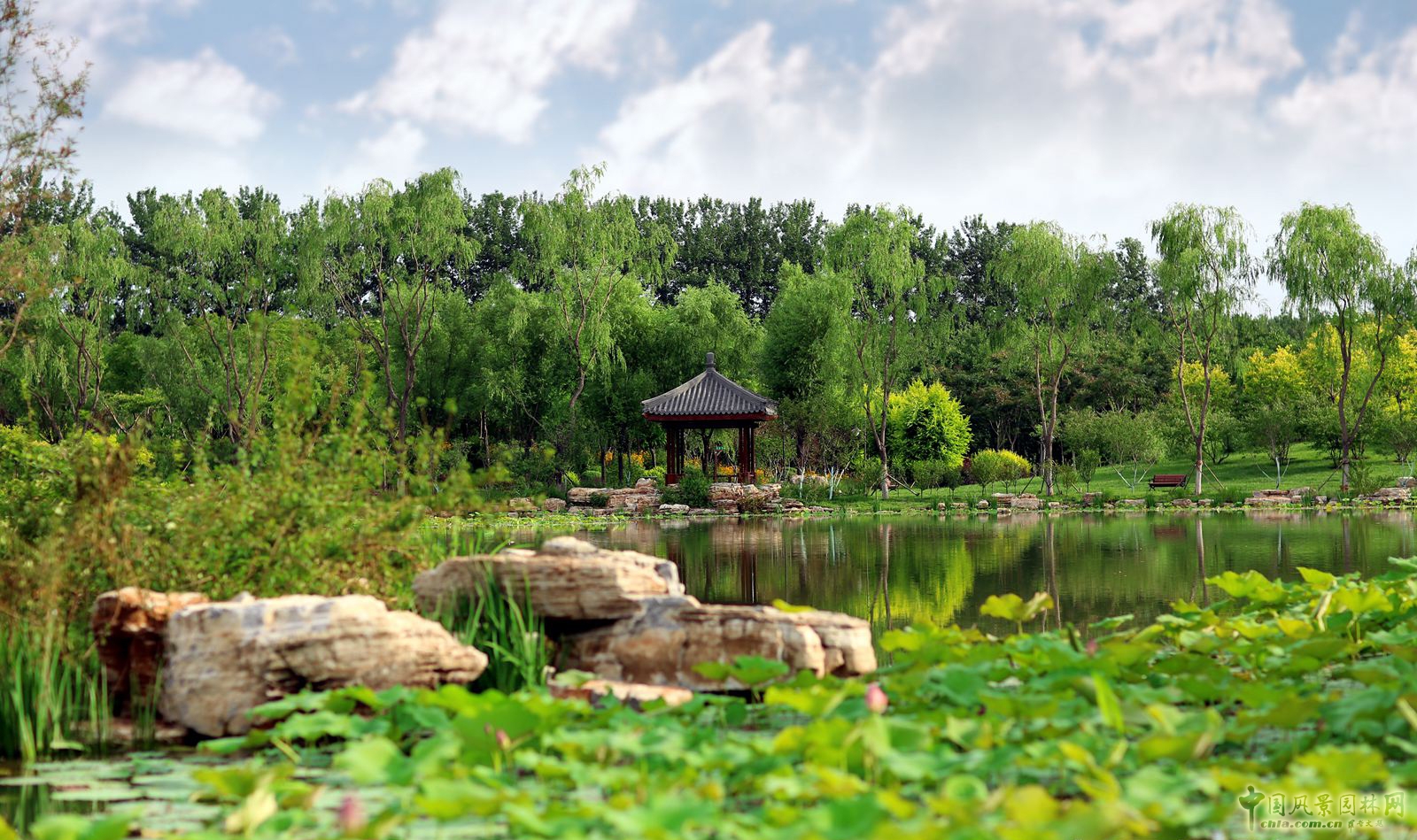 2016園冶杯專業獎參賽項目:天津武清津北森林公園