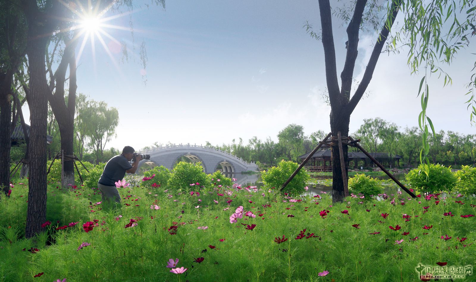 2016園冶杯專業獎參賽項目：天津武清津北森林公園