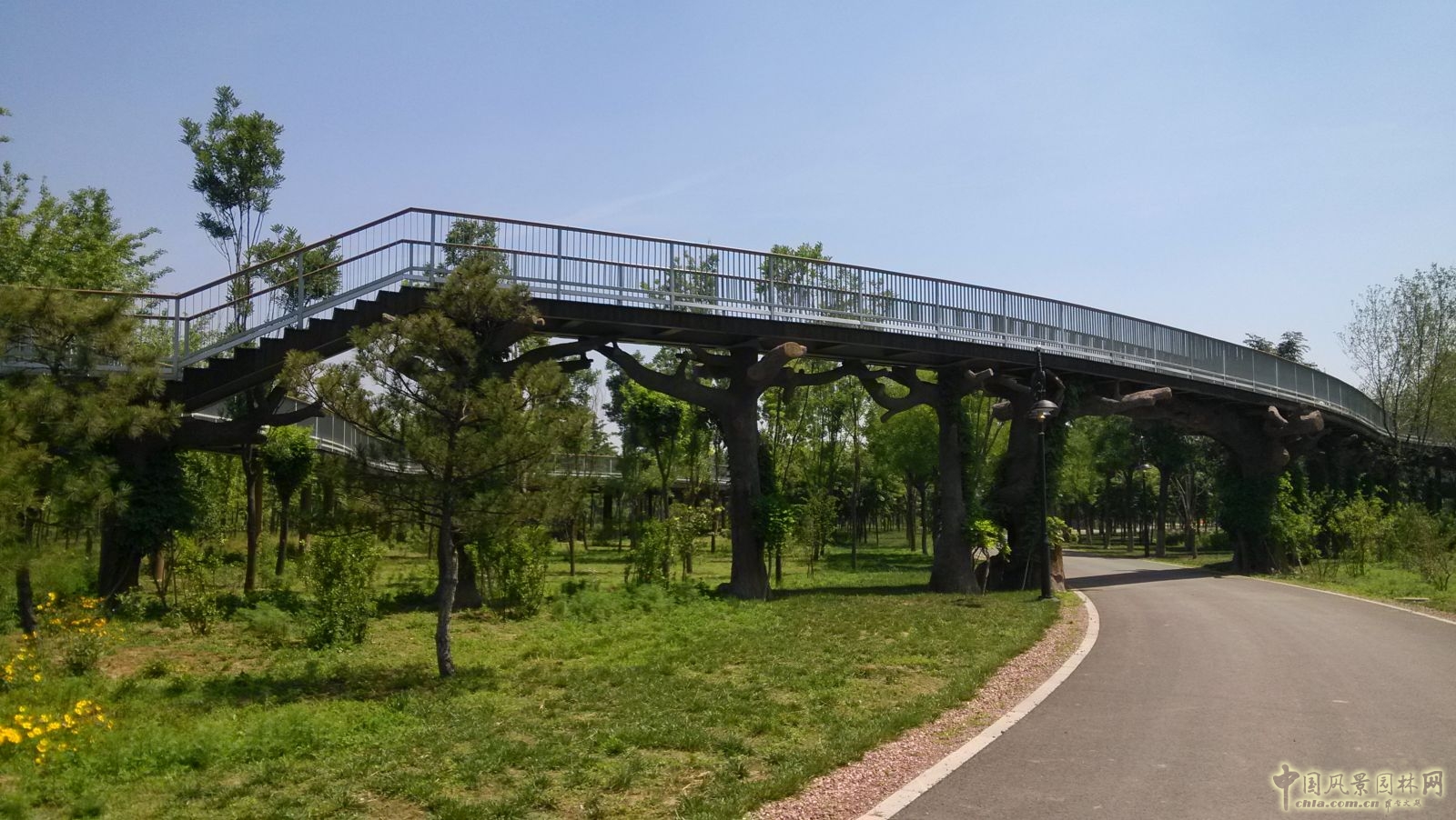 2016園冶杯專業獎參賽項目：天津武清津北森林公園