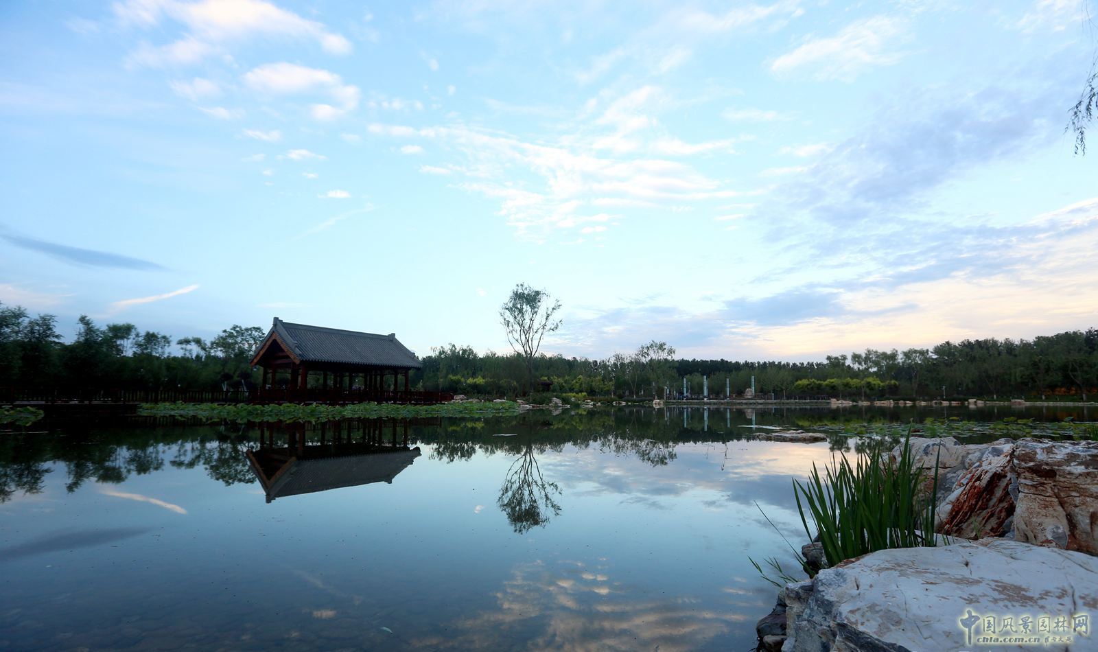 2016園冶杯專業獎參賽項目：天津武清津北森林公園