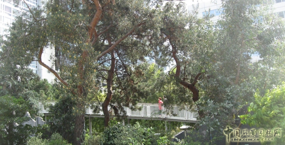 大西洋花園——火車站屋頂花園