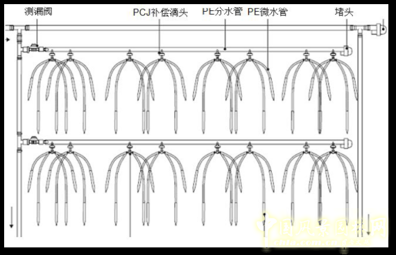 2016園冶杯專業獎參賽項目：漢京半山公館垂直綠化