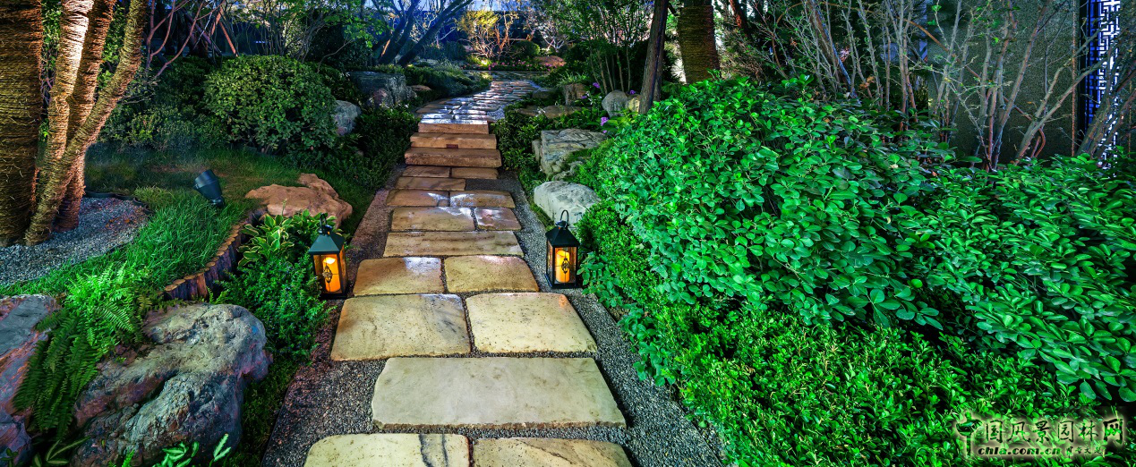 中房聯盟走進龍湖景觀高峰論壇隆重召開