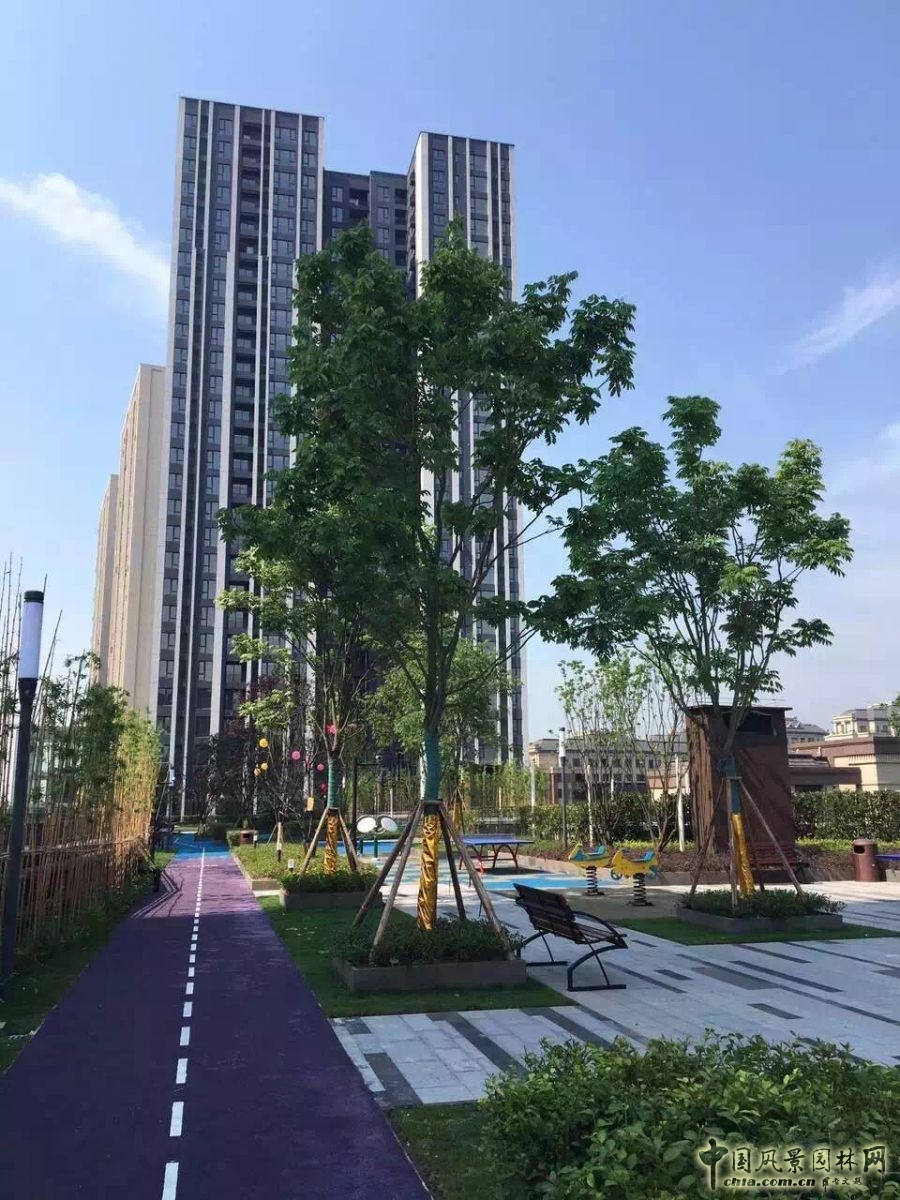 2016園冶杯專業獎參賽項目：龍湖U城天街屋頂花園