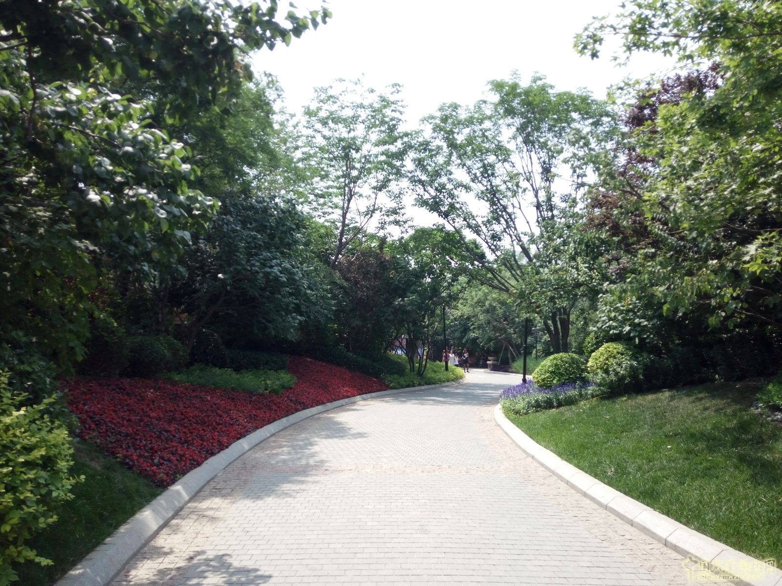 2016園冶杯專業(yè)獎參賽項目：金隅中北鎮(zhèn)項目園林一標段