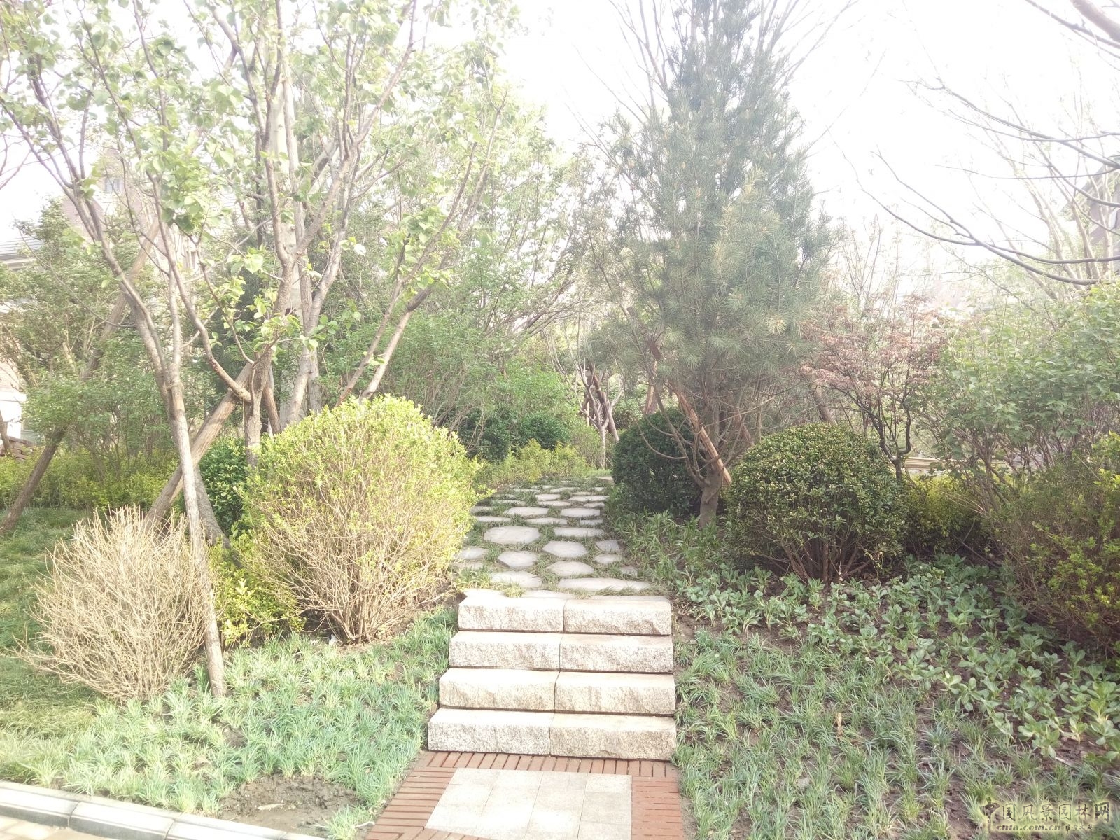 2016園冶杯專業獎參賽項目：金隅中北鎮項目園林一標段