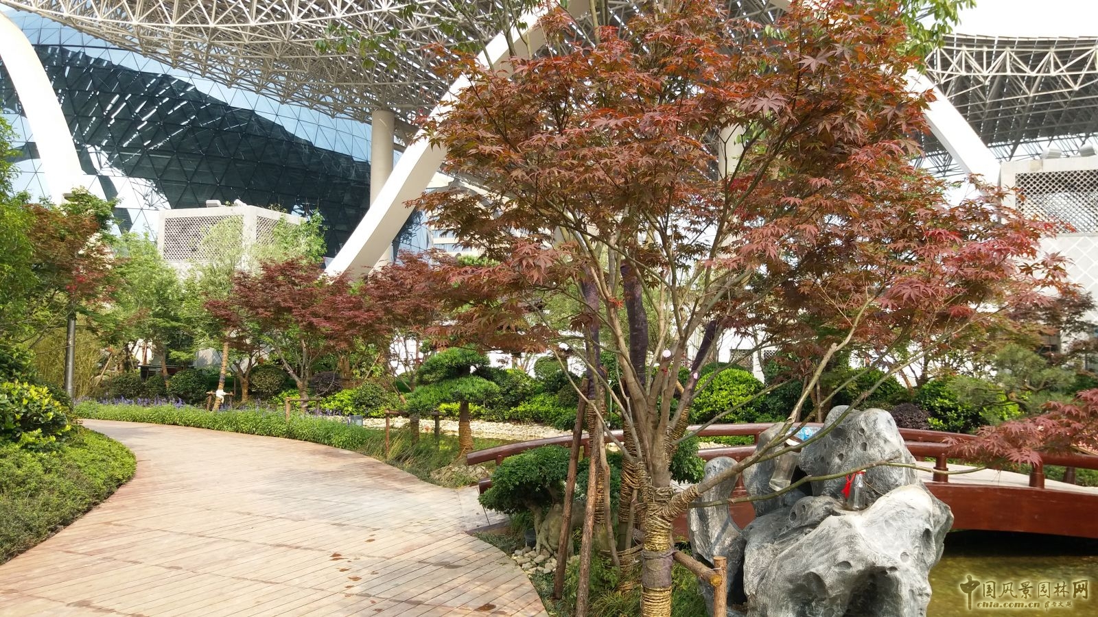 2016園冶杯專業獎參賽項目：杭州國際博覽中心屋面園林綠化工程