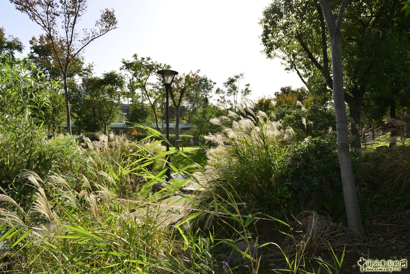 2016園冶杯專業獎參賽項目:無錫新區前進路伯瀆港濱水公園景觀設計