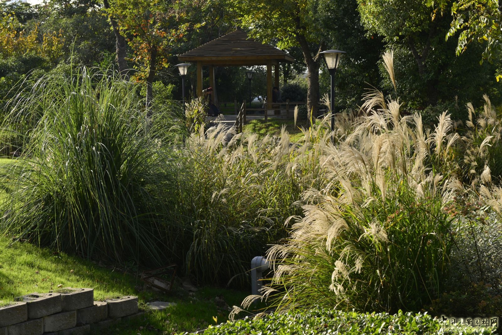 2016園冶杯專業獎參賽項目:無錫新區前進路伯瀆港濱水公園景觀設計