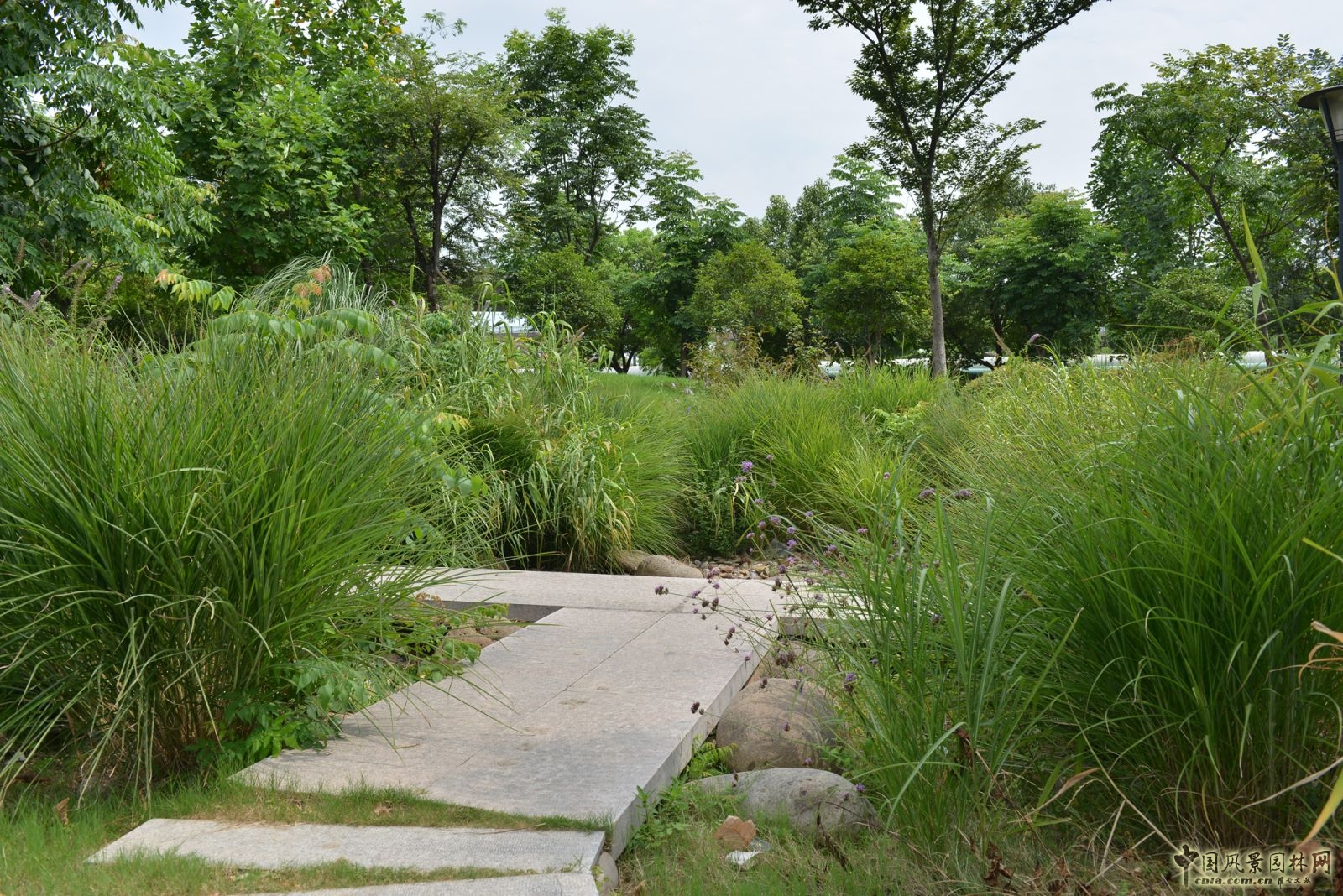 2016園冶杯專業獎參賽項目:無錫新區前進路伯瀆港濱水公園景觀設計