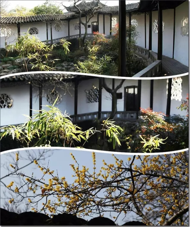 滄浪亭——內外皆園