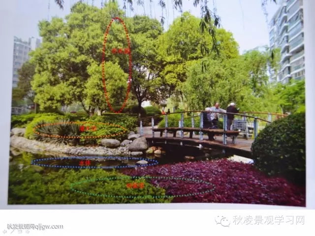 不得不看的植物營造實物圖解析