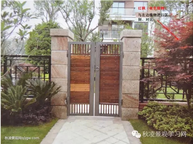 不得不看的植物營造實物圖解析