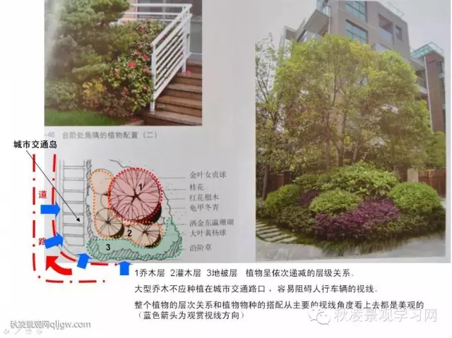 不得不看的植物營造實物圖解析