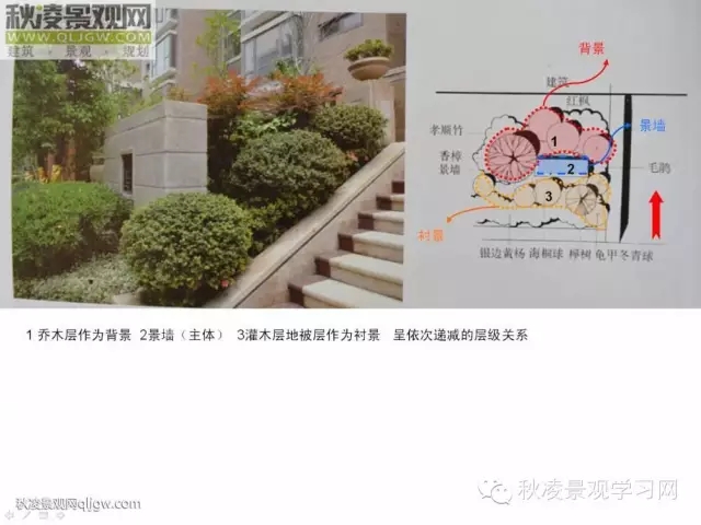 不得不看的植物營造實物圖解析