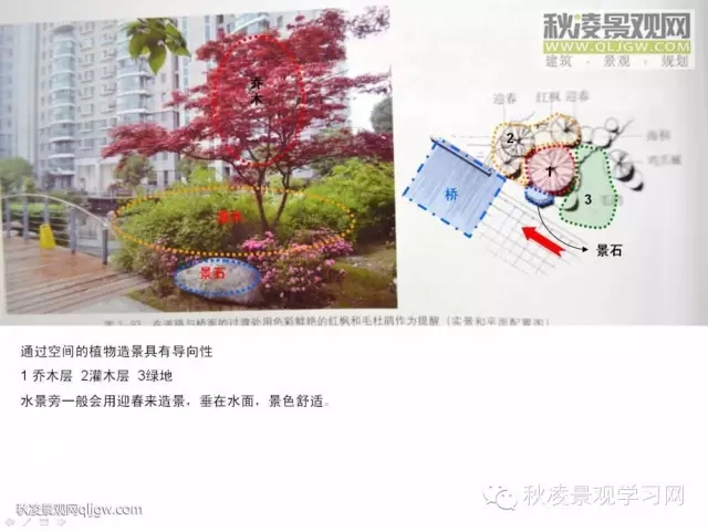 不得不看的植物營造實物圖解析