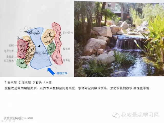 不得不看的植物營造實物圖解析