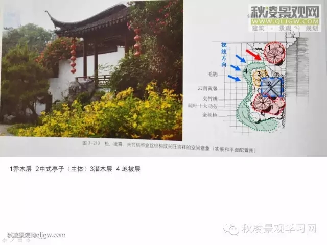 不得不看的植物營造實物圖解析