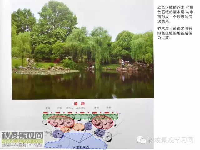 不得不看的植物營造實物圖解析