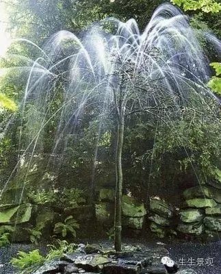 最全小水景小品組圖不容錯過！