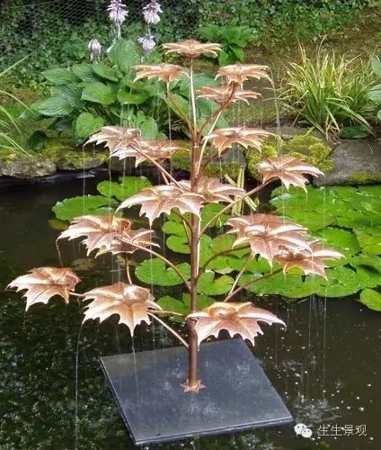 最全小水景小品組圖不容錯過！