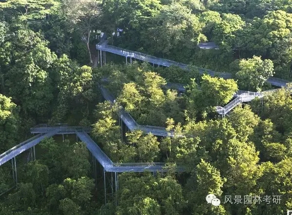 景觀設(shè)計中地形高差處理不會？看過來！