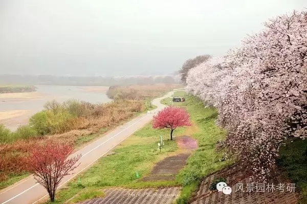 景觀設計中地形高差處理不會？看過來！