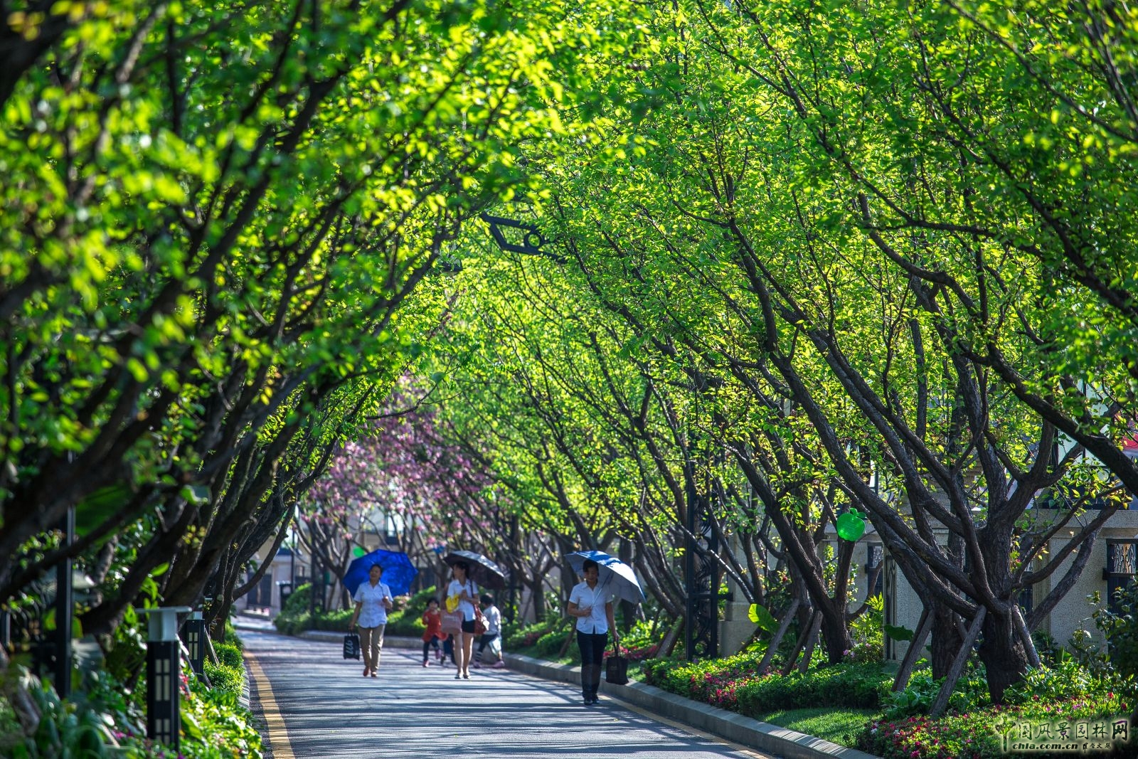 2016園冶杯專業獎參賽項目:保利鳳凰灣