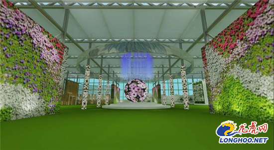 南農大湖熟花卉基地萬朵菊花爭奇斗艷