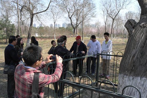 景觀設計師的邏輯“三法則”