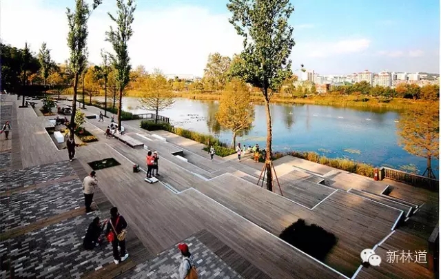 風景園林快速設計之濱水駁岸