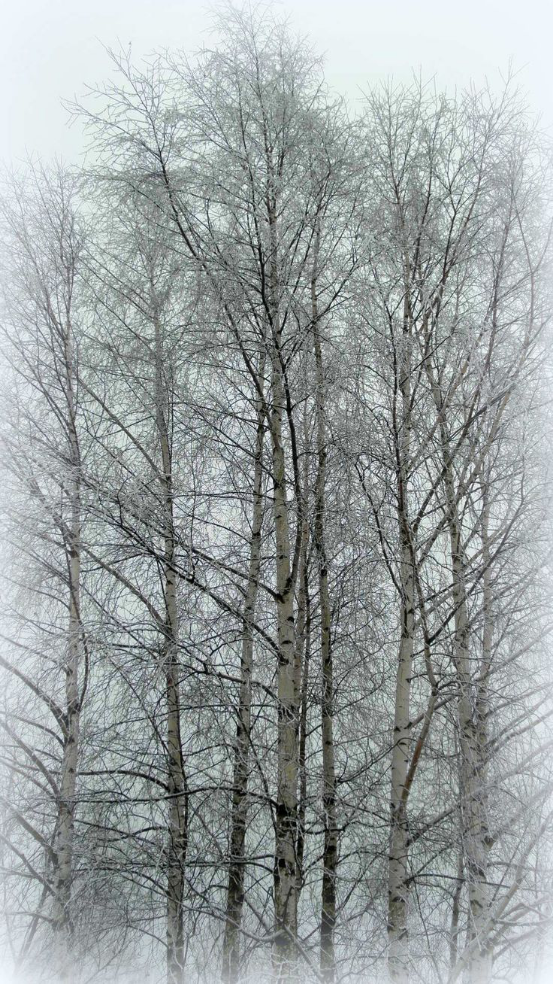 如何自己準備一套申請留學的景觀作品集?(上)