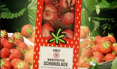 德國(guó)最成功的兒童體驗(yàn)農(nóng)莊：卡爾斯農(nóng)莊