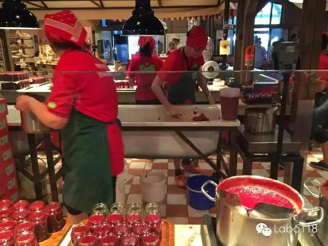 德國最成功的兒童體驗農莊：卡爾斯農莊