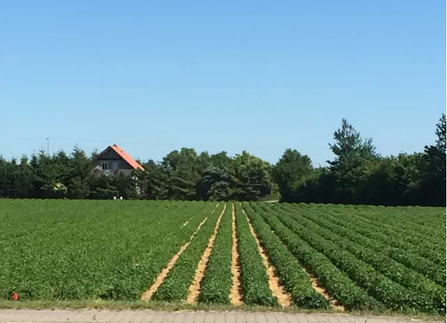 德國最成功的兒童體驗農莊:卡爾斯農莊