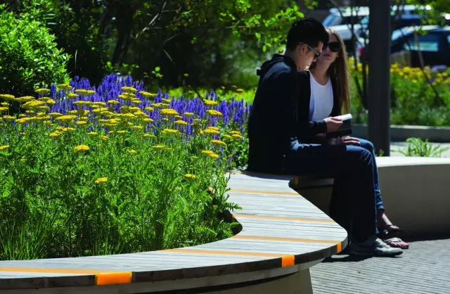 不得不看的優秀校園景觀設計