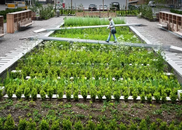 不得不看的優秀校園景觀設計