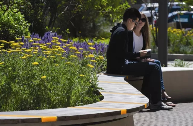 校園廣場案例:皇家墨爾本理工大學大草坪